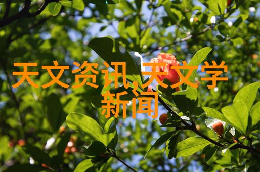 水位显示仪在洪水防治中的应用研究基于现代传感技术的智能监测系统
