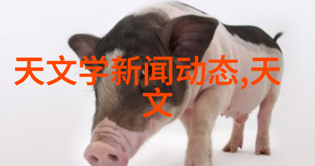 墨林水槽厨房装修效果图大全2012图片清新如水温馨如室