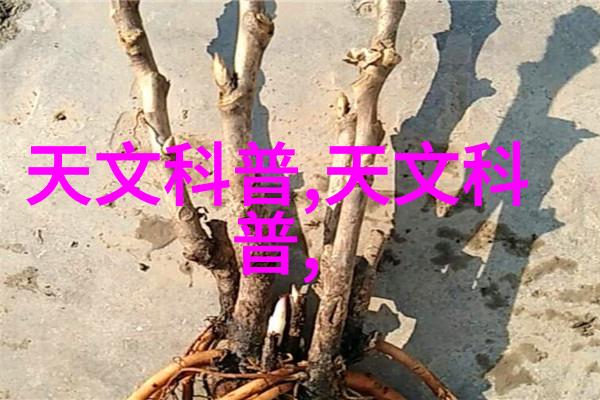 厨房科技-金鼎杀菌釜无菌安全的新伙伴