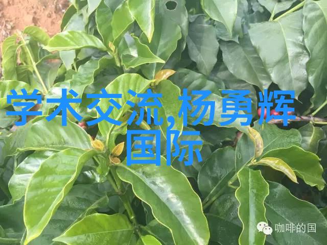 管式反应器在现代化学生产中的应用与创新