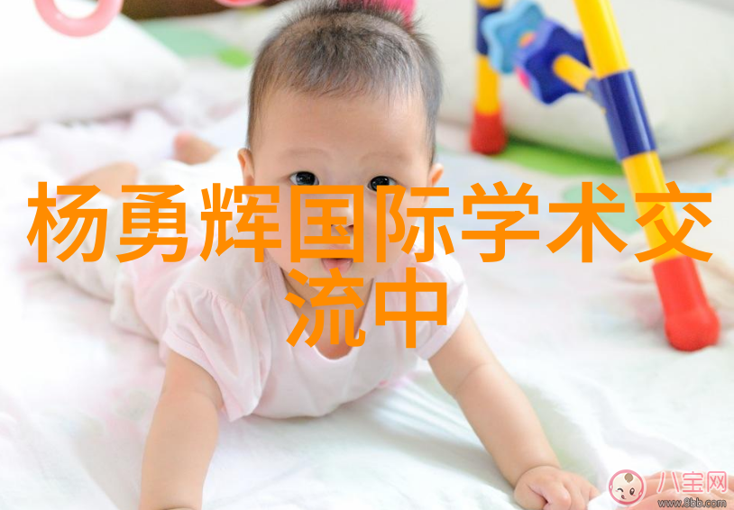 膜及膜组件-探究膜技术与膜组件在现代工业中的应用