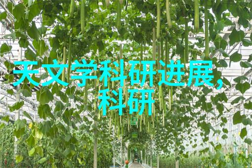 探秘古玩世家的繁华地潘家园的文化瑰宝
