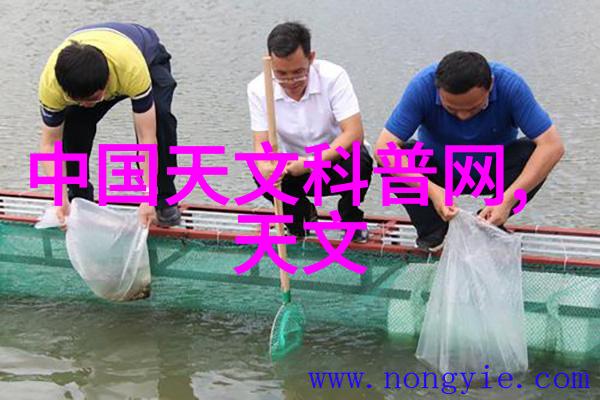 生物膜填料挂膜图片 - 透明界限探索生物膜填料在眼科治疗中的应用
