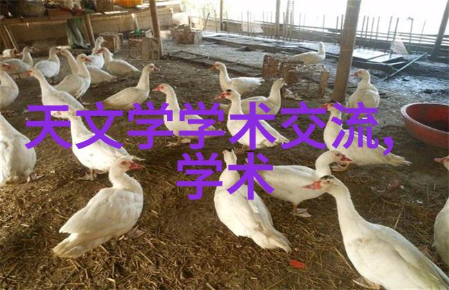 实验室烘干箱机遇与挑战的交响曲