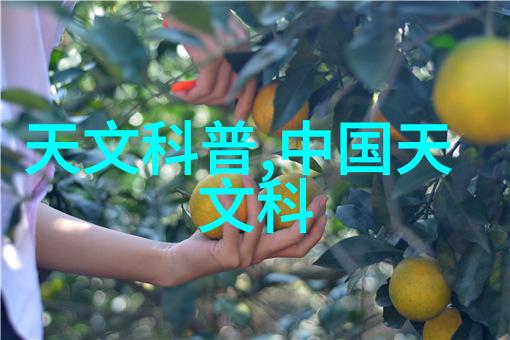 机械设备-螺旋式输送机提升物料运输效率的奇迹
