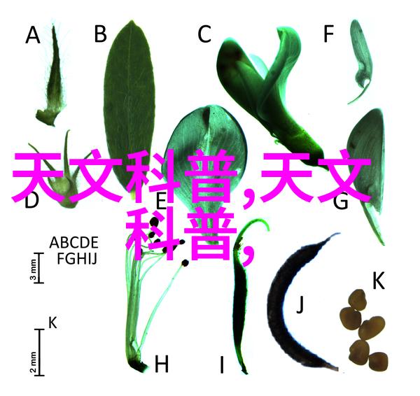 古典复古风情回潮探索那些老式变形的各类五金配件