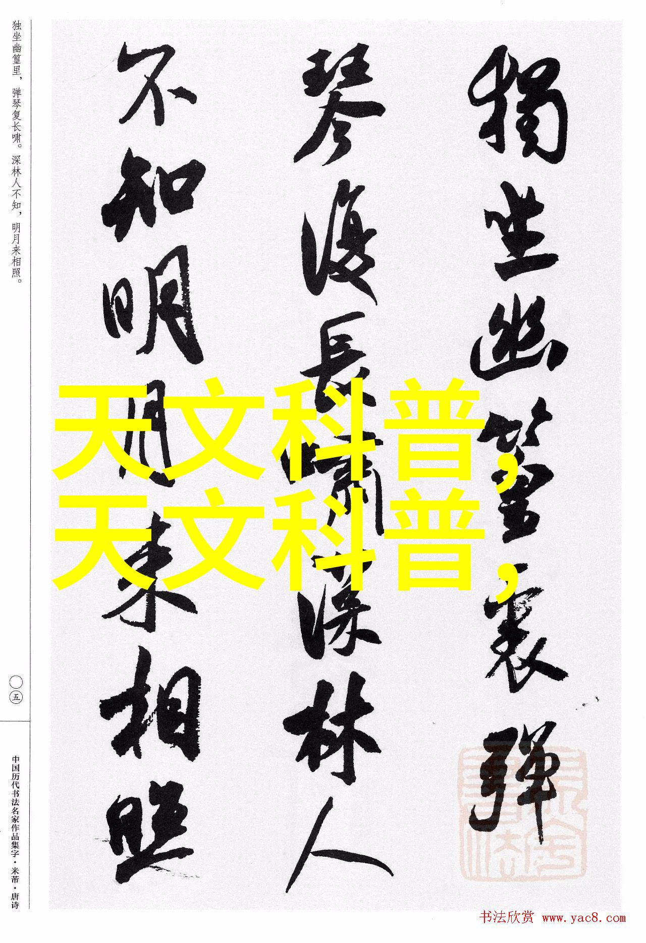 迈开腿尝小扇贝探秘海鲜美味