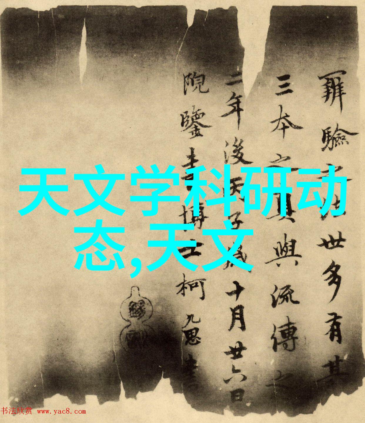 有机肥设备我是如何用转运站提高大棚里的作物产量的