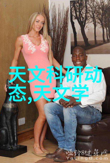 北京软件测评公司 - 北京软件测评公司确保技术卓越的准则与标准