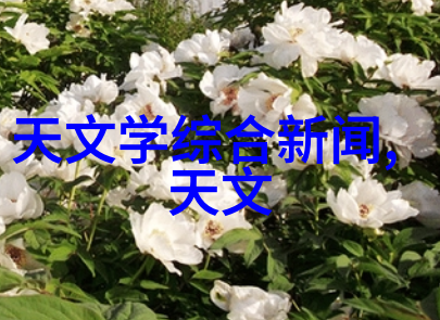 地下室秘境肉质按摩椅沉浸式放松体验