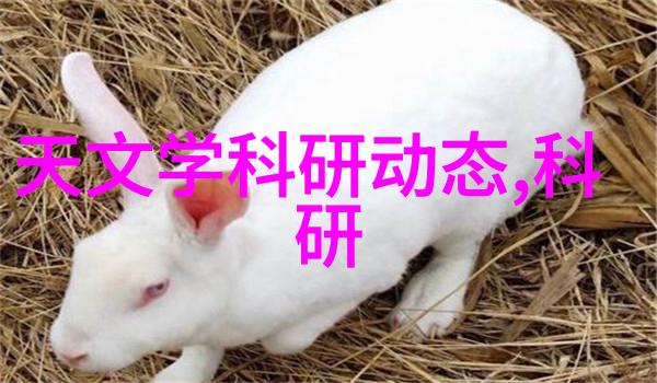 立式沉降式离心机在实验室应用中的优化与创新研究