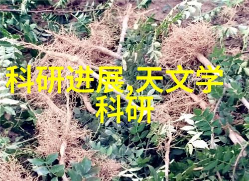 别墅轮换2攻略揭秘如何享受更豪华的假期生活