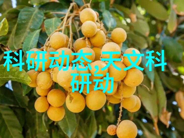 高精度水质检测仪器tds水质分析仪