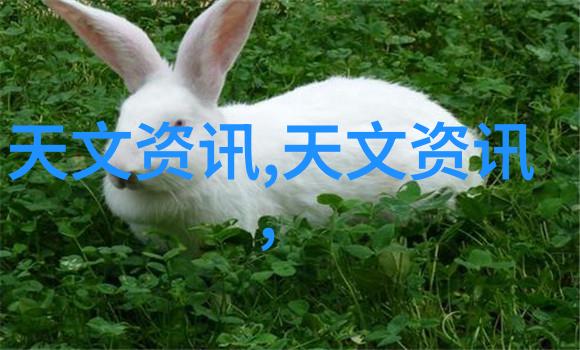 茶花的文化内涵与艺术价值探究