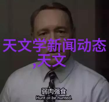 涂料艺术的精髓探索Cy700填料参数之美