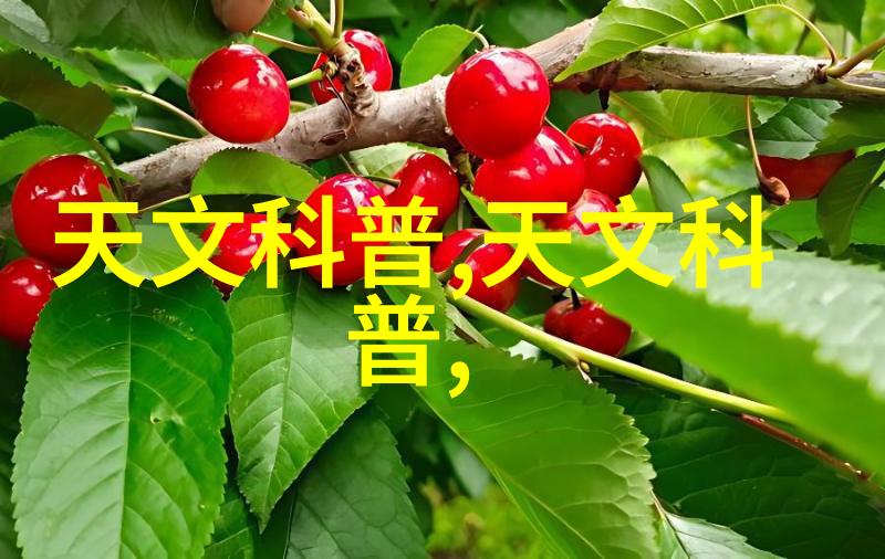 日出