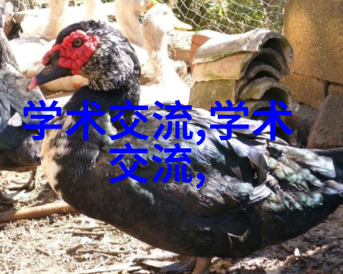 探究近现代工业环境中的不锈钢加工厂生态影响与可持续发展策略研究