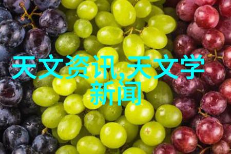 便携式沼气分析仪在社会化工环境净化设备中的应用