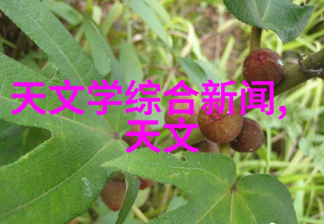 追求个性化小卧室独特装饰风格设计案例分享
