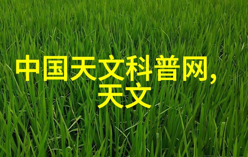 化学工厂的关键价格揭秘