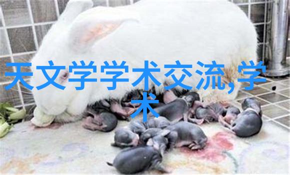 工业物料输送系统的创新与应用