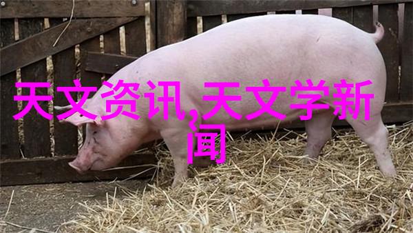 家居美学温馨的时光留存在每一砖一瓦之间