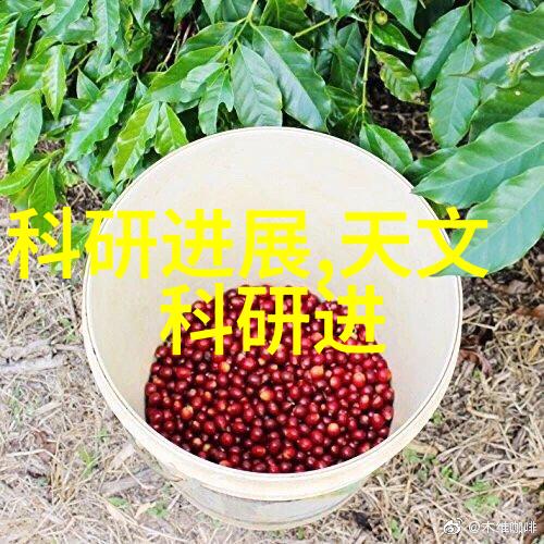 逆止器的秘密能否真正阻挡命运的轮回