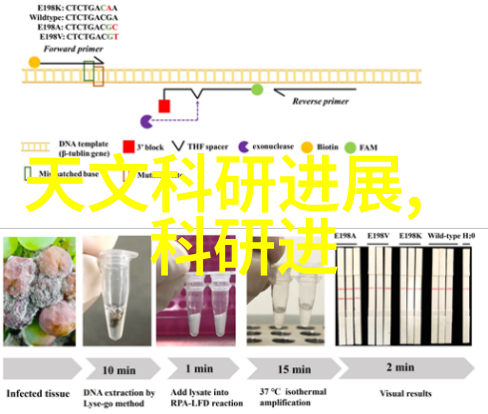 军用软件测评资质的认证与应用