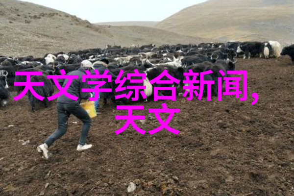 机器之心数控时代的工匠们