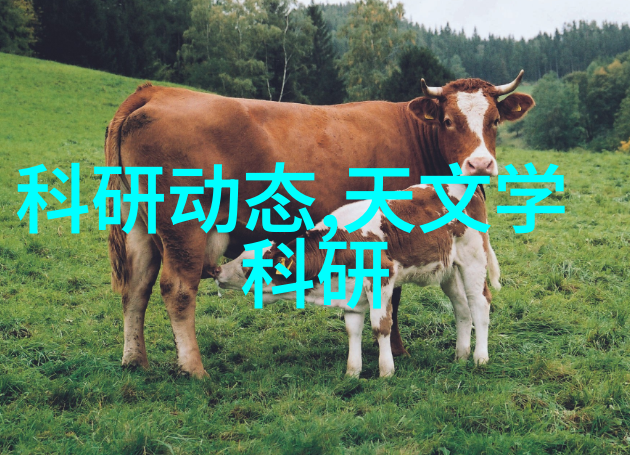 千山暮雪番外篇寻觅旧梦的旅人