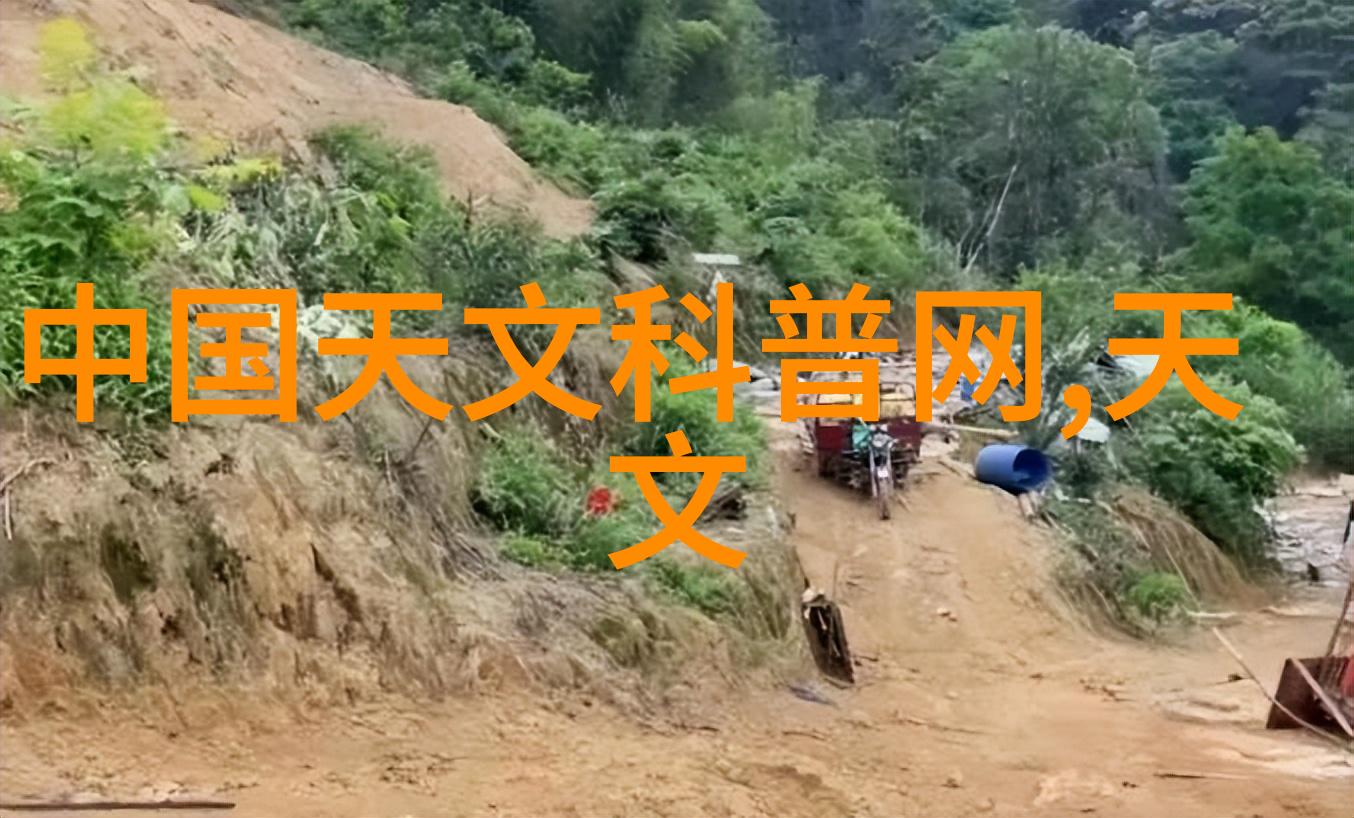 岳小钗txt织梦者与文字的交响
