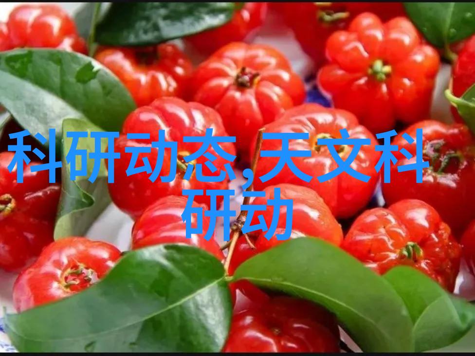 滚筒输送设备我的工业小助手