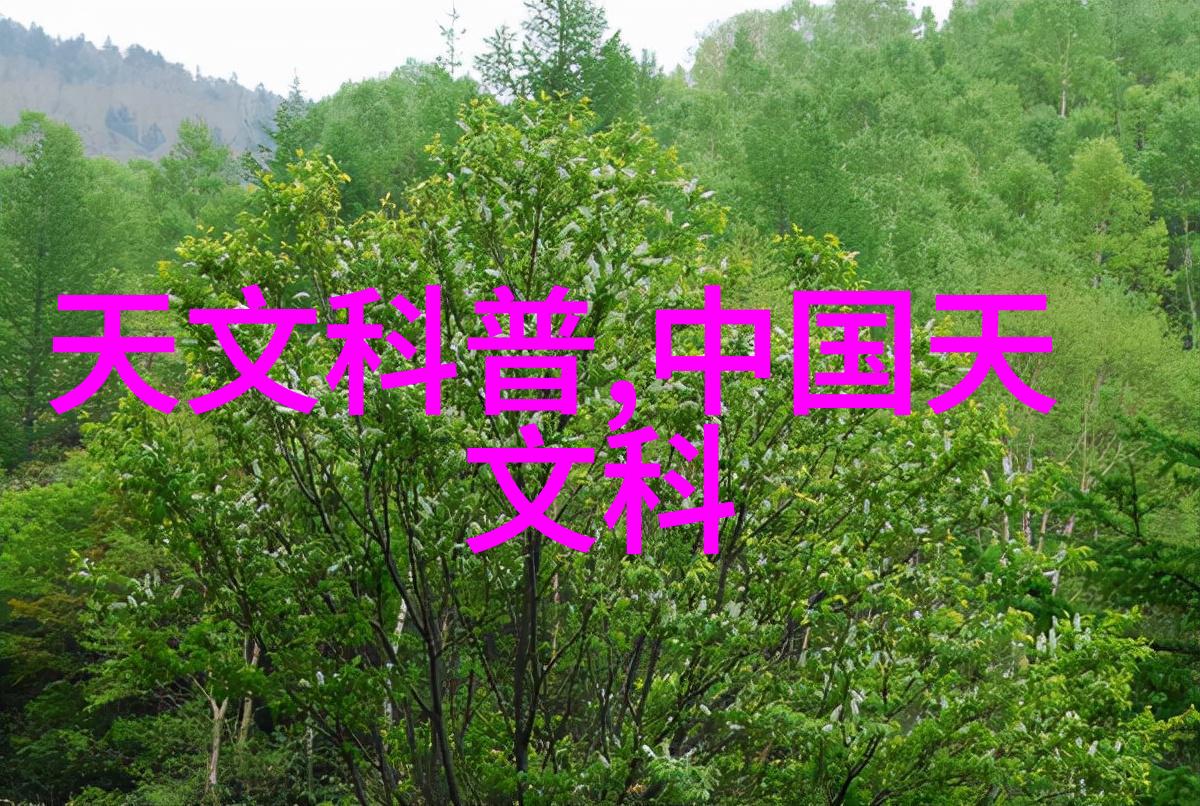 在全球范围内各国对于医疗级别纯度要求不同这种差异带来了哪些挑战和机遇
