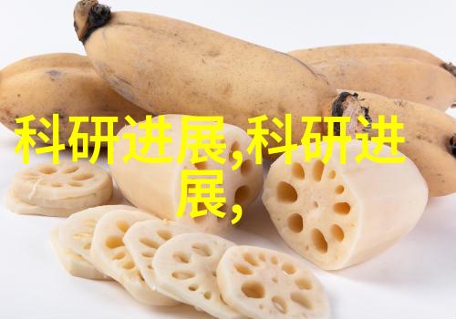 水质净化新篇章揭秘去离子水反渗透制水机的科学之谜
