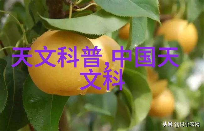 旋转离心泵的工作原理及其在工业中的应用