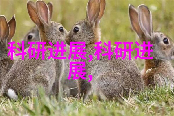 傻儿子的比老公的改大家庭生活中的小确幸