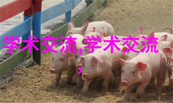 技术进步伴侣如何通过中国专利查询系统提升竞争力