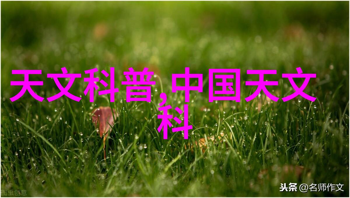 食品安全新篇章高效灭菌技术的创新与实践