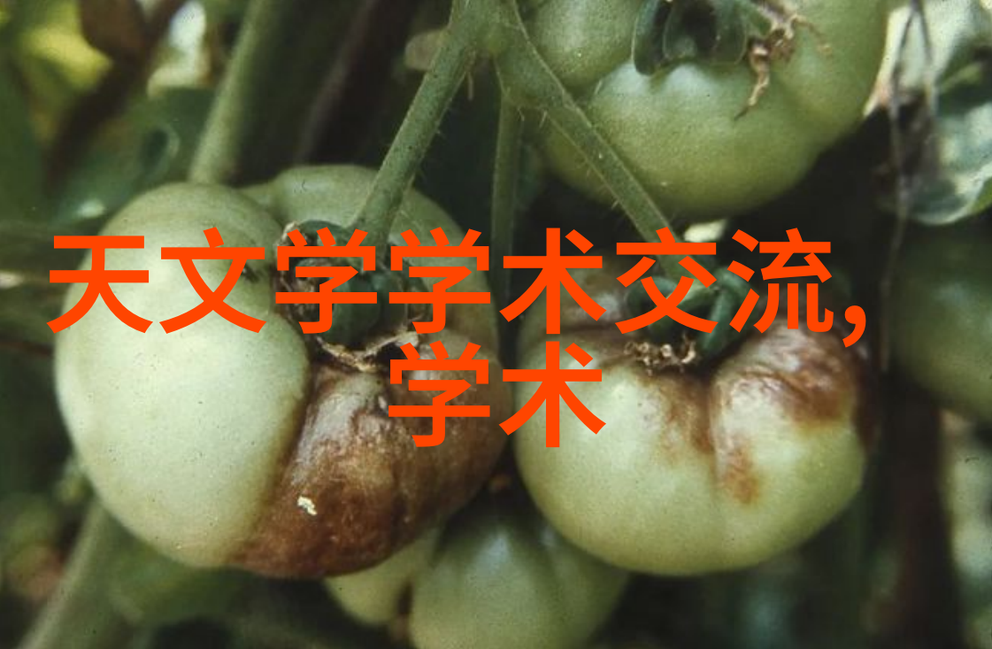 非正常事件集我亲眼见证的那些奇怪事儿