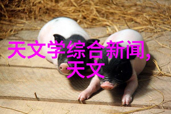 二手杀菌锅转让温暖的家用宝贝寻找新主人