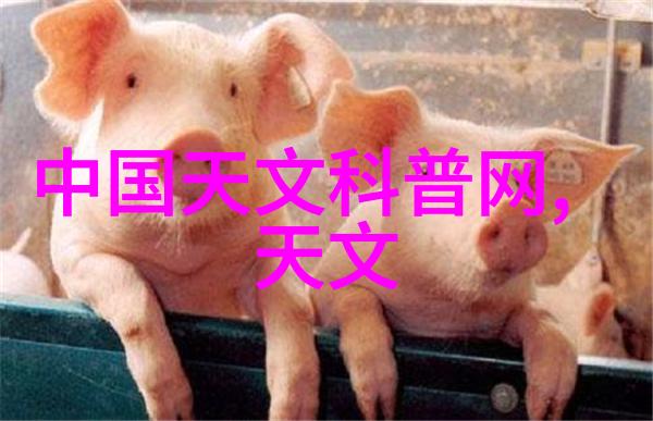 二保焊技术培训-精通二保焊技艺提升工艺水平的必备课程