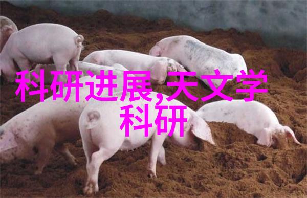 全自动灌装机高效精准的食品包装革命