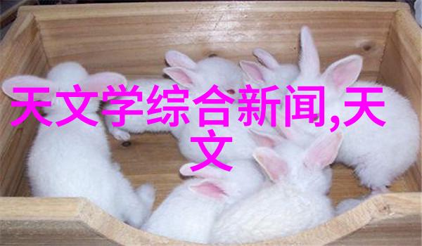 纯化水制备设备种类逆滤超滤离子交换活性炭过滤