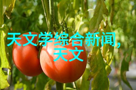 化学实验室的新宠儿化工药包材制造设备的搞笑故事