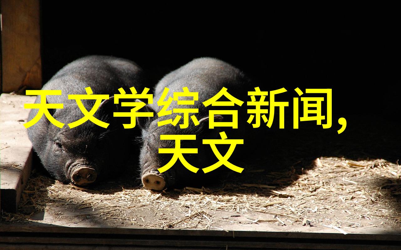 贮存设备-探索现代贮存设备的发展与应用