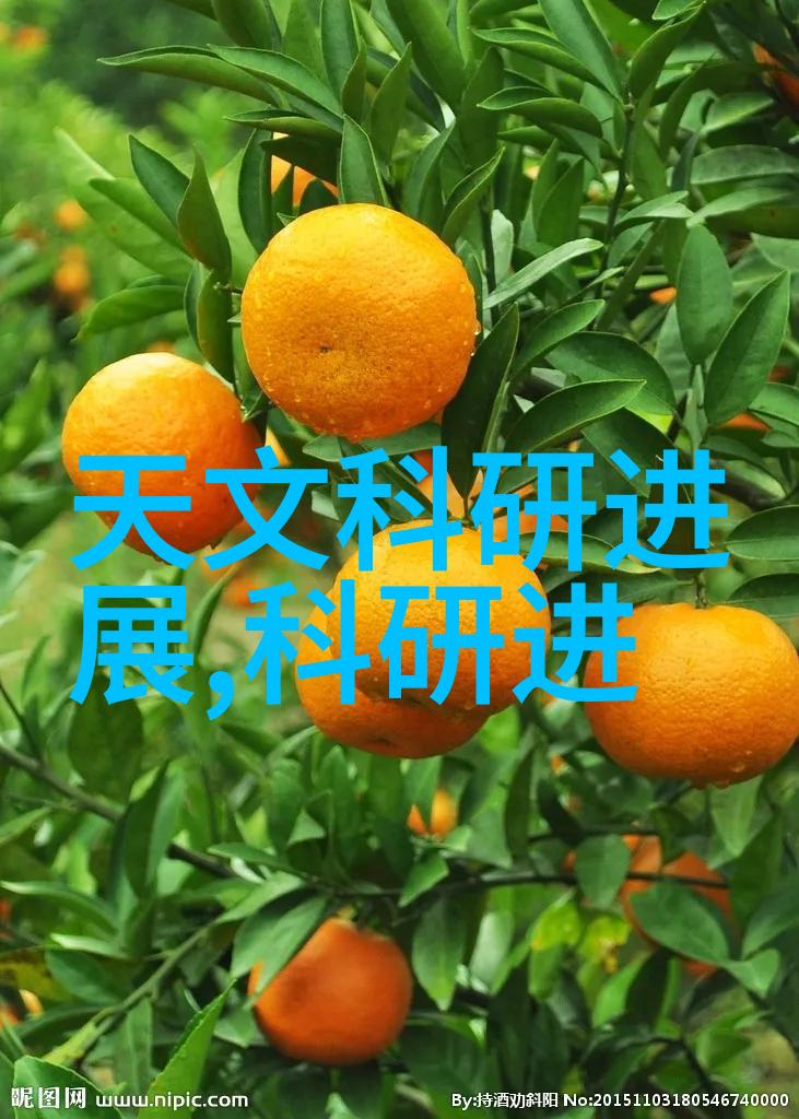 重生者狂想曲txt我是穿越者从废柴到神话的奇幻之旅