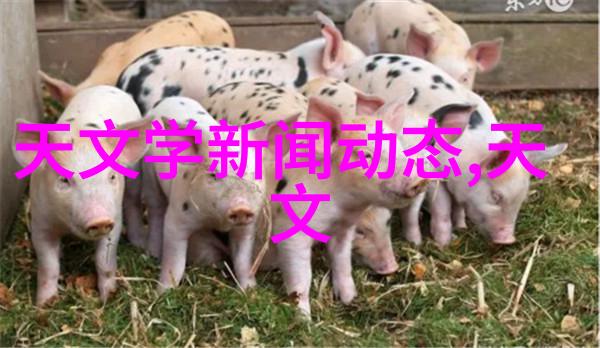 芯片材料上市公司龙头股-领航半导体探索芯片材料上市公司的龙头力量