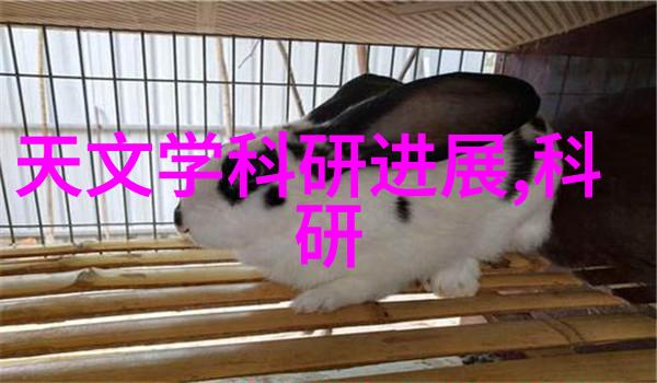 北斗芯片引领智慧航天精密定位与智能创新之星