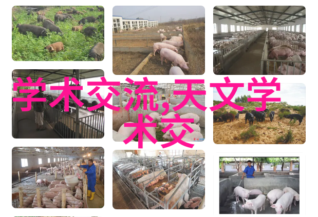 苹果新秀探索最新的果树奇迹