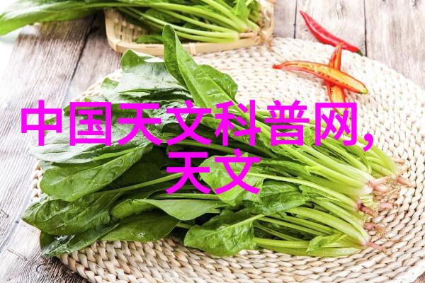 流量仪器精准测量安全保障探索现代工业流体检测的先锋技术